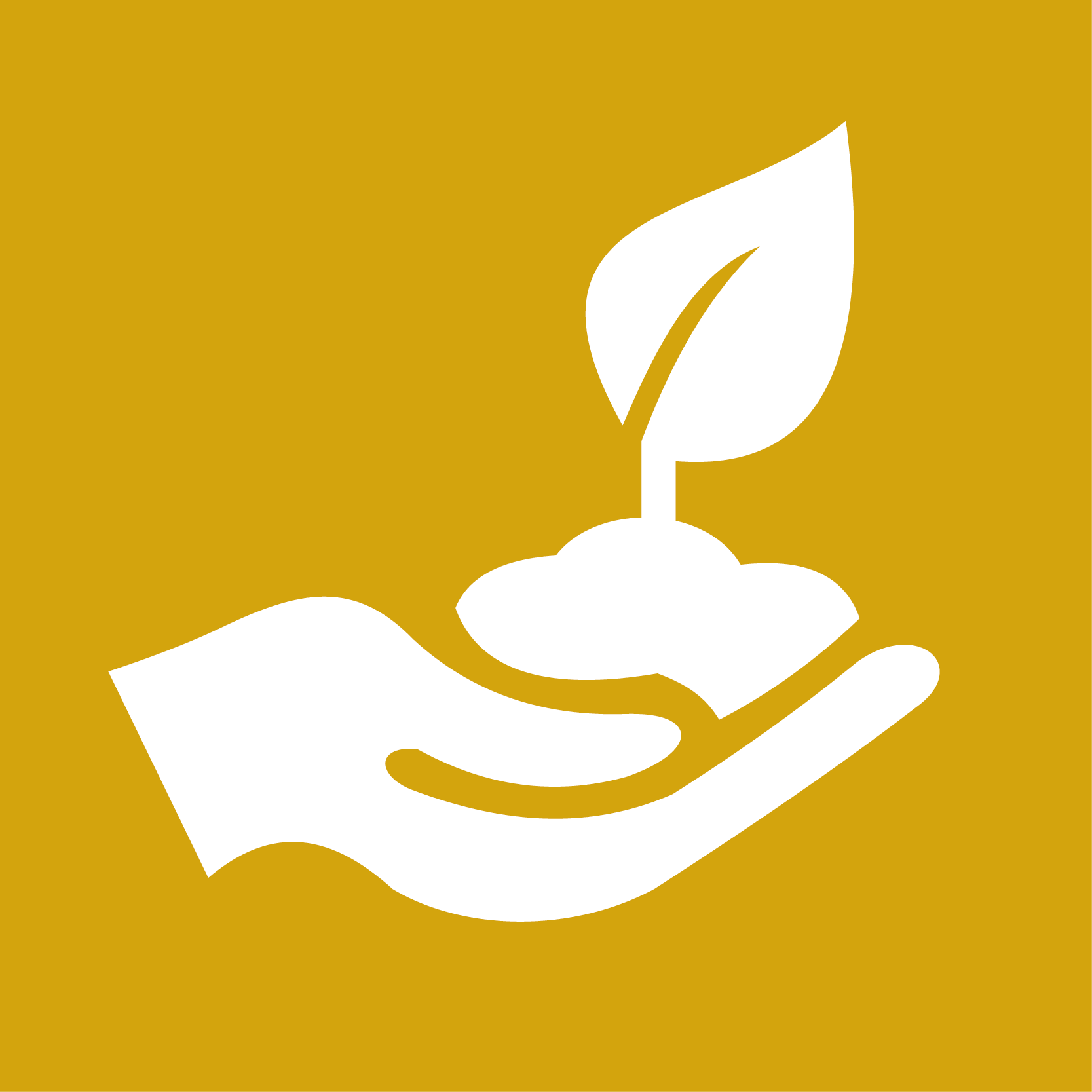 Yellow square with a graphic of a growing plant