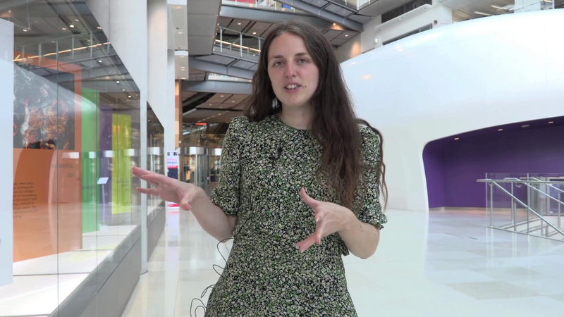 Iris RisingWISE interview