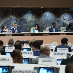 A meeting is held at the United Nations, with several nation representatives present